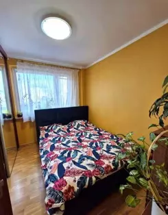 12375 - zdjęcie nr 2