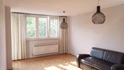 12636 - zdjęcie nr 0