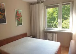 12856 - zdjęcie nr 2