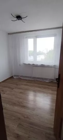12623 - zdjęcie nr 0