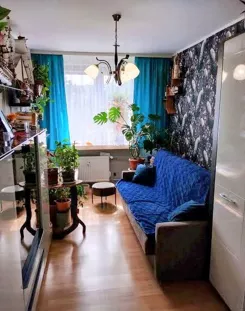 12238 - zdjęcie nr 1