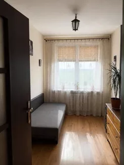 12336 - zdjęcie nr 2