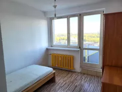 12787 - zdjęcie nr 0