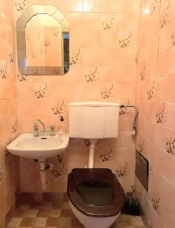 12323 - zdjęcie nr 3