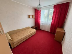 12910 - zdjęcie nr 1