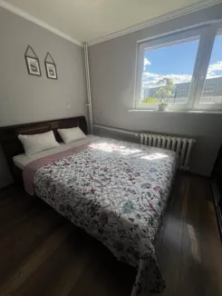 12341 - zdjęcie nr 2