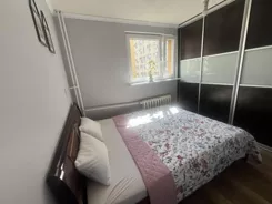 12341 - zdjęcie nr 3