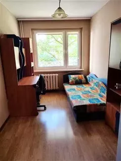 12504 - zdjęcie nr 2