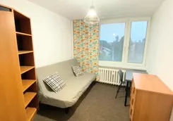 12531 - zdjęcie nr 1