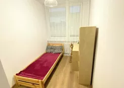 12531 - zdjęcie nr 3
