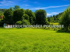 DRG-DS-303 - zdjęcie nr 1