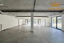 981 - zdjęcie nr 3