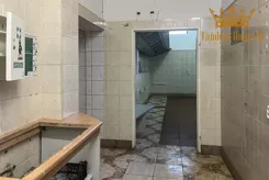 1191 - zdjęcie nr 4
