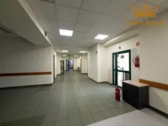 1181 - zdjęcie nr 1