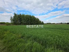 BESP-GS-14890-1 - zdjęcie nr 4