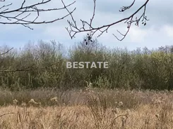BESW-GS-14785 - zdjęcie nr 2