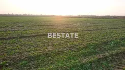 BESW-GS-13837 - zdjęcie nr 0