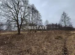 BESW-GS-15244 - zdjęcie nr 1