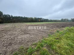 BESP-GS-15117 - zdjęcie nr 4