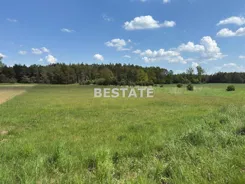 BESP-GS-15464 - zdjęcie nr 1