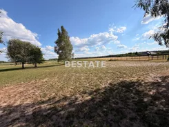 BESP-GS-15526 - zdjęcie nr 2