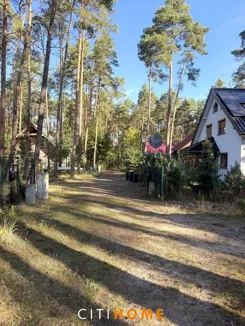 7195/1969/OGS - zdjęcie nr 3