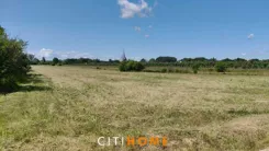 7119/1969/OGS - zdjęcie nr 3
