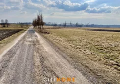 7109/1969/OGS - zdjęcie nr 3