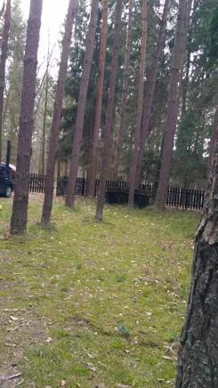 10261673 - zdjęcie nr 0