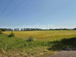 41/17137/OGS - zdjęcie nr 2
