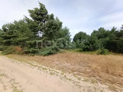 55/17137/OGS - zdjęcie nr 2