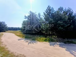 80/17137/OGS - zdjęcie nr 3