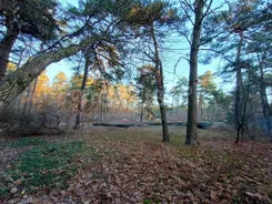 16/17137/OGS - zdjęcie nr 4
