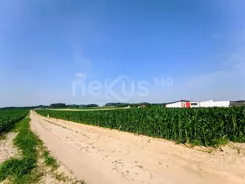 79/17137/OGS - zdjęcie nr 0