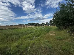 17/17137/OGS - zdjęcie nr 4