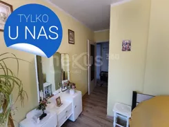146/17137/OMS - zdjęcie nr 0