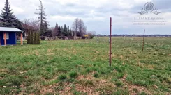 1211-12 - zdjęcie nr 3
