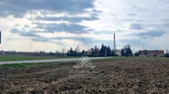 1448-29 - zdjęcie nr 4