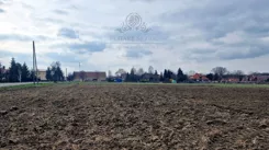 1300-11 - zdjęcie nr 3