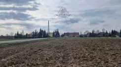 1300-30 - zdjęcie nr 0