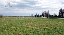 1300-30 - zdjęcie nr 2