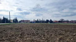 1300-30 - zdjęcie nr 3