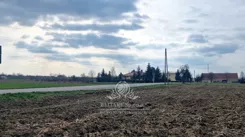 1448-31 - zdjęcie nr 4
