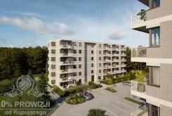 2245 - zdjęcie nr 4