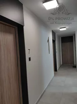 2438 - zdjęcie nr 3