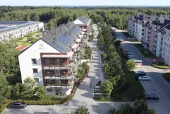Vista Eco - zdjęcie nr 4