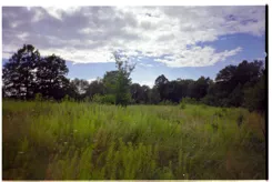 10456684 - zdjęcie nr 3