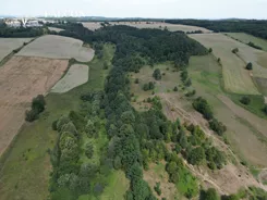 FE786865 - zdjęcie nr 4