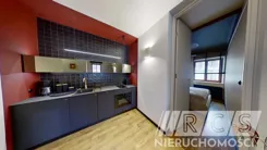 RCS-O213706124 - zdjęcie nr 2