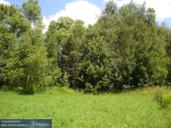 419/10945/OGS - zdjęcie nr 3